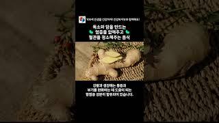 몸 속에 염증을 싹~ 없애 주는 음식을 알고 있으신가요? 독소와 암을 만드는 염증을 없애주고 혈관까지 청소해주는 음식 8가지! #shorts