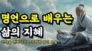 인생을 변화시키는 강력한 명언 모음 | 채근담, 쇼펜하우어, 셰익스피어, 플라톤, 괴테, 석가모니, 칸트, 탈무드, 한비자 | 명언으로 배우는 삶의 지혜