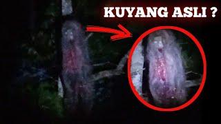 KUYANG ASLI !! 5 PENAMPAKAN HANTU TERJELAS,TERSERAM DAN MENGERIKAN - Scary Videos