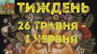 ️ Тиждень 26 травня - 1 червня #таро