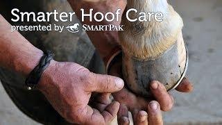 Smarter Hoof Care