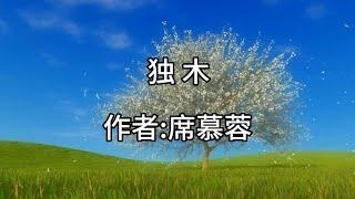 散文欣赏《独木》 作者席慕蓉