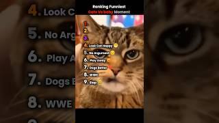 Ranking Funniest Cat Vs baby Moment