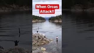 ORCAS- The Killer Whale