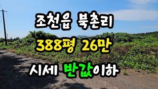 제주시 조천읍 북촌리 388평 26만 시세 반값이하 010 4436 0401 제주도부동산 토지 매매  급매물