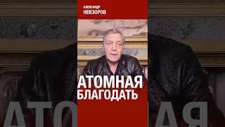 Венец православной мысли #невзоров