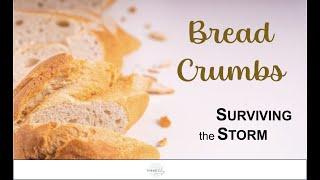 Bread Crumbs #3 - Surviving the Storm