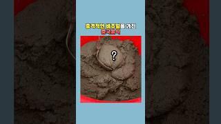 충격적인 비주얼을 가진 중국음식