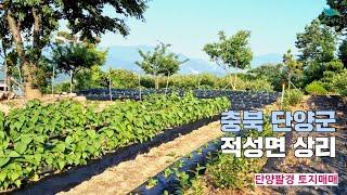 [신바람 오늘의 매물]충북 단양군 적성면 상리  단양팔경 토지매매 - 시골집매매, 농가주택매매, 전원주택부지 매매