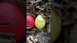 Finding big snail and colored eggs #snail #eggs #egg