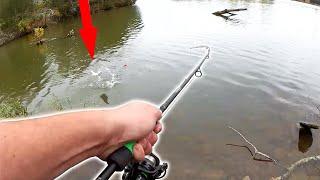 Finally!! It Feels Good to Go Fishing Again (Realistic Fishing)