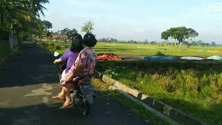 Pesona Keindahan Desa Pesawahan, Kecamatan Rawalo, Kab Banyumas Jawa tengah
