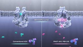 메디컬 애니메이션 | Drug ABCG2 Efflux Pump | Medical Animation, 3D 홍보 영상, 바이오 과학 애니메이션, 메디컬 일러스트 | Scixart