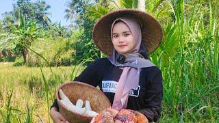 WOOW..NENG ASTI GADIS DESA CANTIK SEDANG MENUNGGU YANG MELAMAR, SERIUS DATANG LANGSUNG KE ORANG TUA