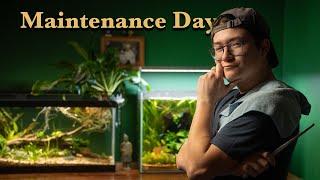 Come do Aquarium Maintenance with me!