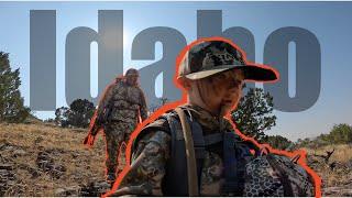 IDAHO - BIG Mule Deer Hunt | UNFORGETTABLE Bowhunt