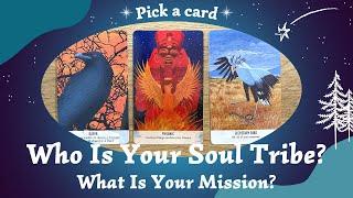 Who Is Your Soul Tribe?  What Is Your Mission? ⎜Pick a card  Timeless reading