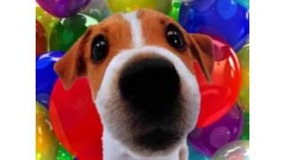 Happy Birthday Elizabeth! - Your Personal Birthday Video