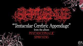 Effluence - Tentacular Cerebric Appendage [Song Premiere]