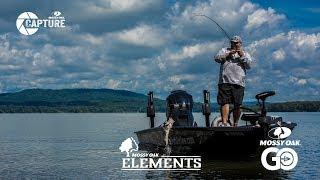 Bill Lowen • Elements