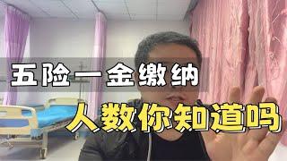 五险一金缴纳人数，你知道吗？