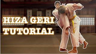 Hiza Geri (Knee Strikes) | Full Contact Karate