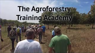 Learn about the Agroforestry Training Academy!