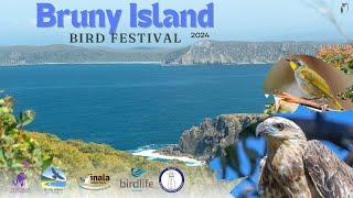 BRUNY ISLAND BIRD FESTIVAL 2024 - TRAILER