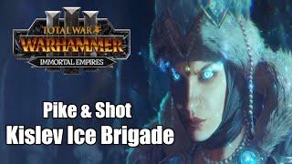 Total Tactics - Pike & Shot: The Kislev Ice Brigade | Total War: Warhammer 3