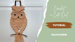 How to Crochet a Cute Owl Easy Tutorial for All Levels | Crochet an Owl with Pineapple Stitch