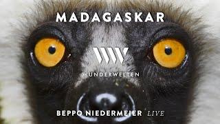 WunderWelten: Dinnershow Madagaskar - Beppo Niedermeier