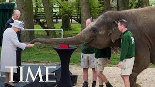 Queen Elizabeth And Prince Philip Feed An Elephant | TIME