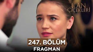 Kan Çiçekleri 247. Bölüm Fragmanı - 7 Şubat Çarşamba