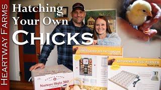 Incubator Comparison: Farm Innovators vs Nurture Right | How to Incubate Eggs | Heartway Farms