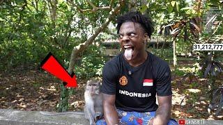 iShowSpeed Makes a New Monkey Friend in Indonesia 