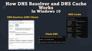 How DNS Resolver and DNS Cache Works | How to Flush DNS