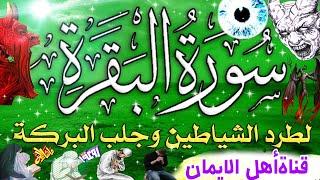 سورة البقرة كاملة مكررة لطرد الشياطين والجن والسحر والحسد وجلب الرزق والبركة والتحصين surat albaqara