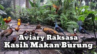 Kasih Makan Burung Di AVIARY, Aviary yang luar Biasa