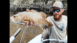 Natives Fly Fishing - Big West Virginia Smallmouth bass On the Fly!!