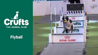 Flyball Team Final | Crufts 2022