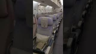 Emirates A380 Economy class (lower deck)