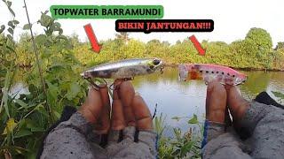 MLEDAKK  !!!TOPWATER BARRAMUNDI//CASTING KAKAP UMPAN POPER,WTD ,wahyu tempe