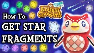  Animal Crossing New Horizons How To Get MORE Star Fragments from Celeste