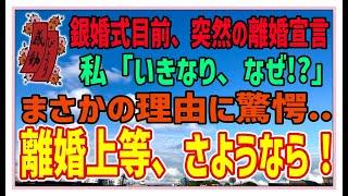 【感動する話】まさかの離婚理由【スカッとする話】銀婚式目前、突然の離婚宣言。私→「いきなり、なぜ！？」まさかの理由に驚愕・・「離婚上等、サヨウナラ！！ #感動物語  #スカッとする話 #ラジオドラマ