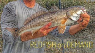 The Easiest Way to Catch RedFish  - Savannah Ga