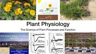 Plant Physiology: L1: Introduction