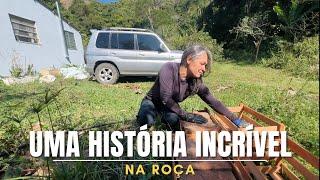 A MÃO DE DEUS NO CAMINHO/FOI PICADA PELA JARARACA/ Bora pra Roça?