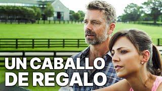 Un caballo de Regalo | Película de caballos | Familiar | John Schneider