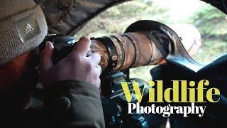 TIPS AND TRICKS photographing small birds | BIRD PHOTOGRAPHY