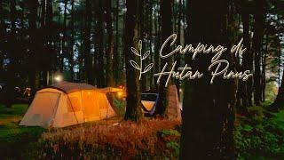 Camping nyaman & murah di Hutan Pinus kaki Gunung Salak / Naturehike / Campervan